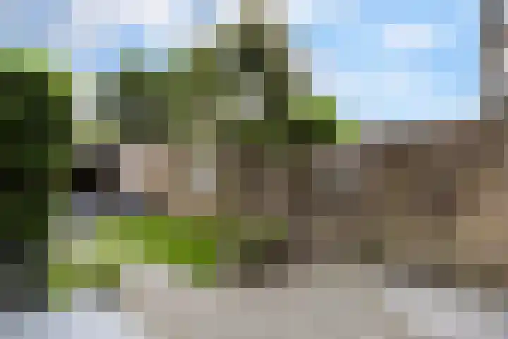 Limburglaan 26 Son en Breugel thumbnail 43