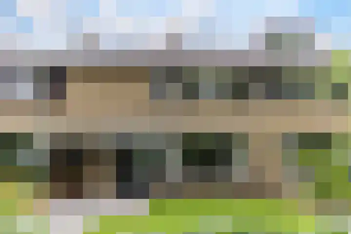 Limburglaan 26 Son en Breugel thumbnail 5