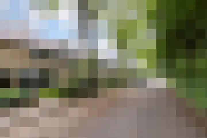 Limburglaan 26 Son en Breugel thumbnail 51