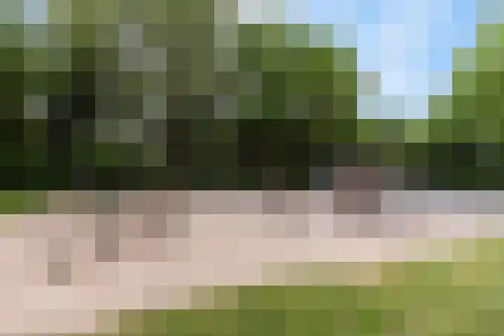 Limburglaan 26 Son en Breugel thumbnail 52