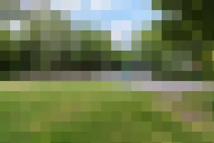 Limburglaan 26 Son en Breugel thumbnail 54
