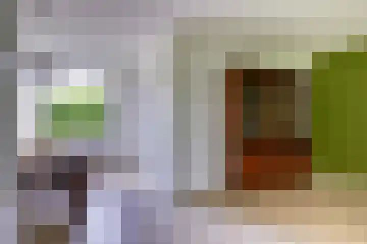 Limburglaan 26 Son en Breugel thumbnail 8