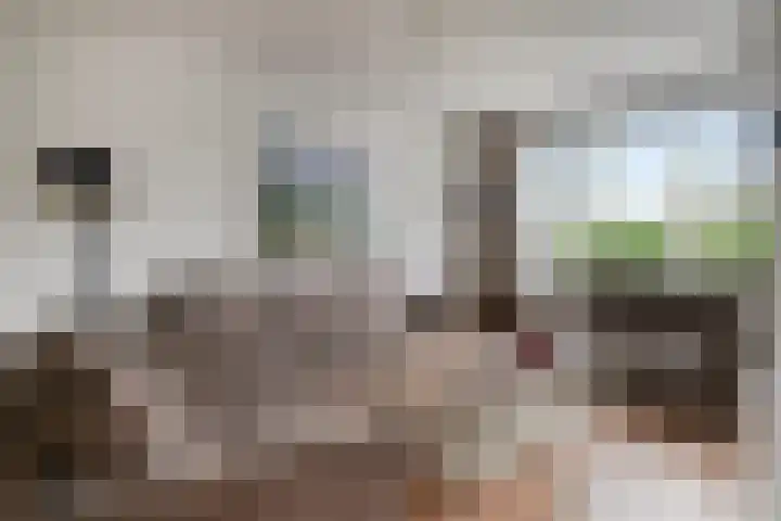 Limburglaan 30 Son en Breugel thumbnail 11