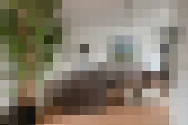 Limburglaan 30 Son en Breugel thumbnail 12