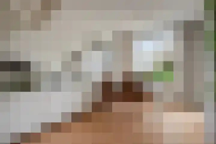 Limburglaan 30 Son en Breugel thumbnail 14