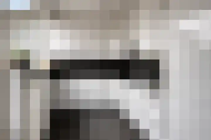 Limburglaan 30 Son en Breugel thumbnail 17