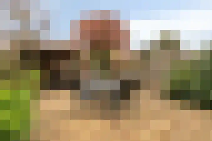 Limburglaan 30 Son en Breugel thumbnail 33