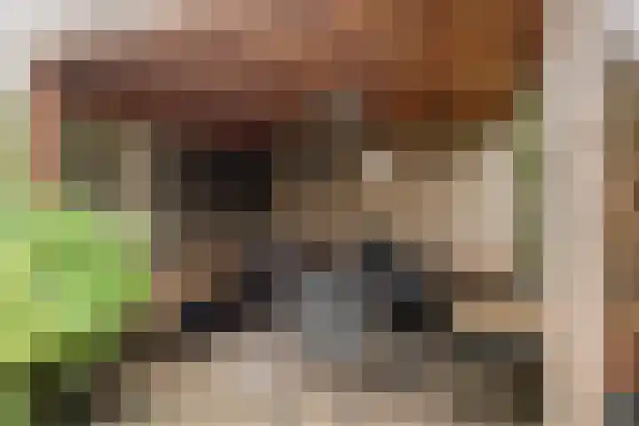 Limburglaan 30 Son en Breugel thumbnail 34