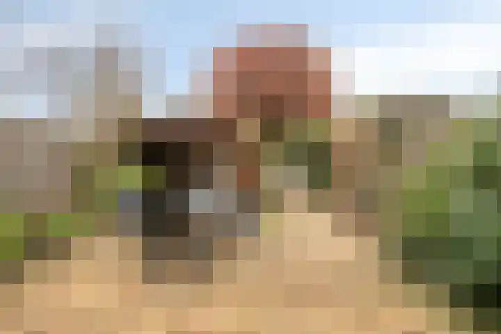 Limburglaan 30 Son en Breugel thumbnail 5