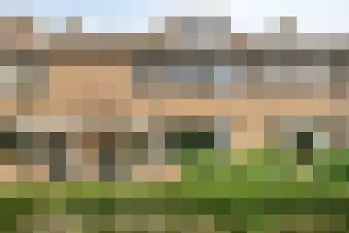 Limburglaan 30 Son en Breugel thumbnail 6