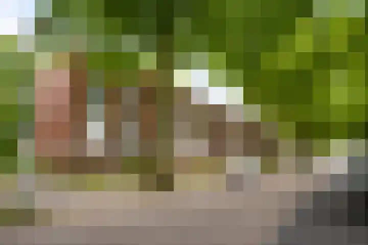 Limburglaan 36 Weert thumbnail 15