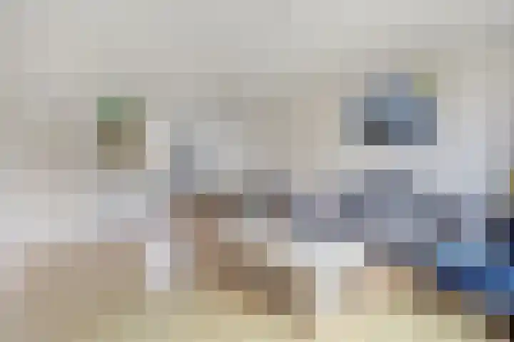 Limburglaan 5 Son en Breugel thumbnail 10