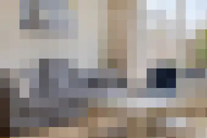 Limburglaan 5 Son en Breugel thumbnail 17