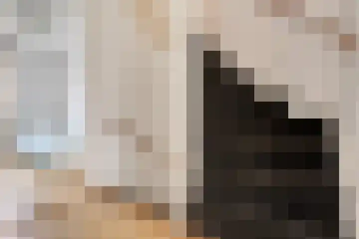 Limburglaan 5 Son en Breugel thumbnail 19