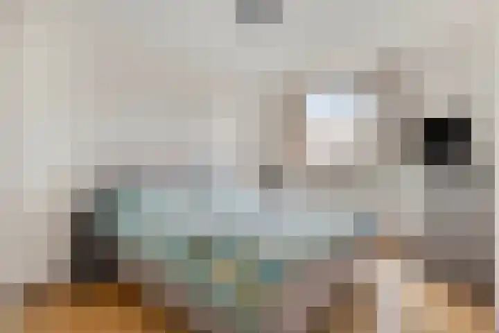 Limburglaan 5 Son en Breugel thumbnail 20