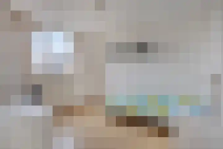 Limburglaan 5 Son en Breugel thumbnail 25
