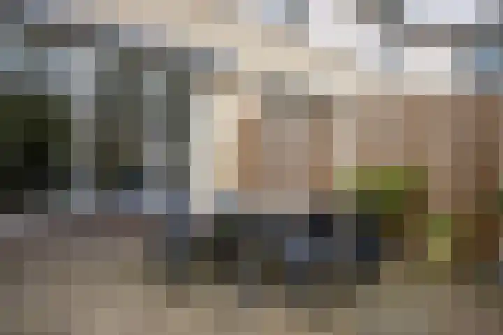 Limburglaan 5 Son en Breugel thumbnail 30