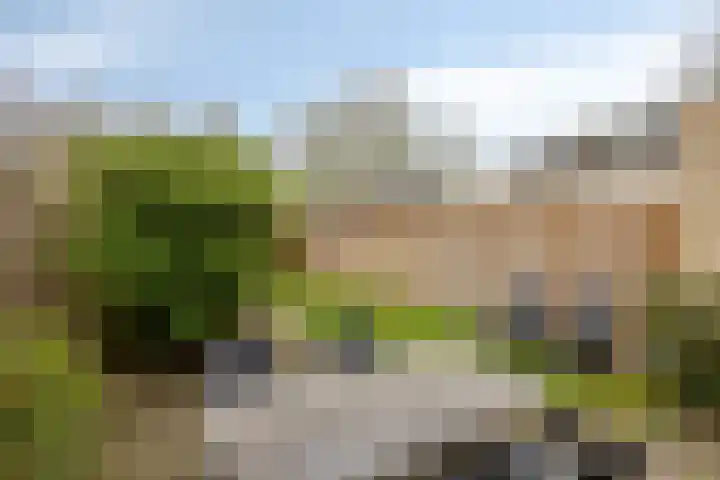 Limburglaan 5 Son en Breugel thumbnail 31