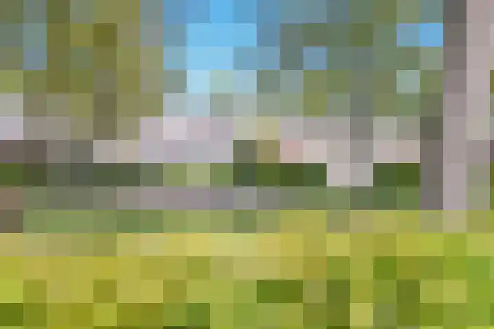 Limburglaan 5 Son en Breugel thumbnail 34