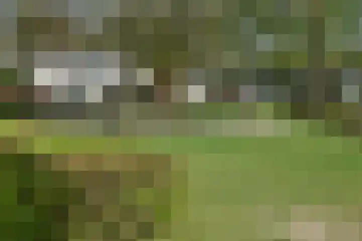 Limburglaan 5 Son en Breugel thumbnail 35