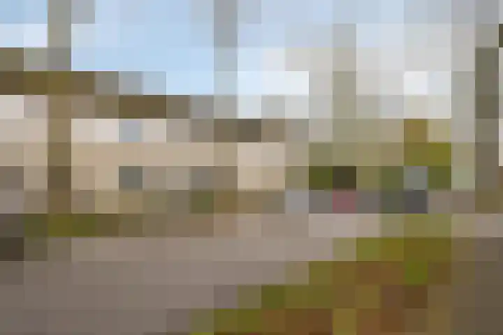 Limburglaan 5 Son en Breugel thumbnail 36