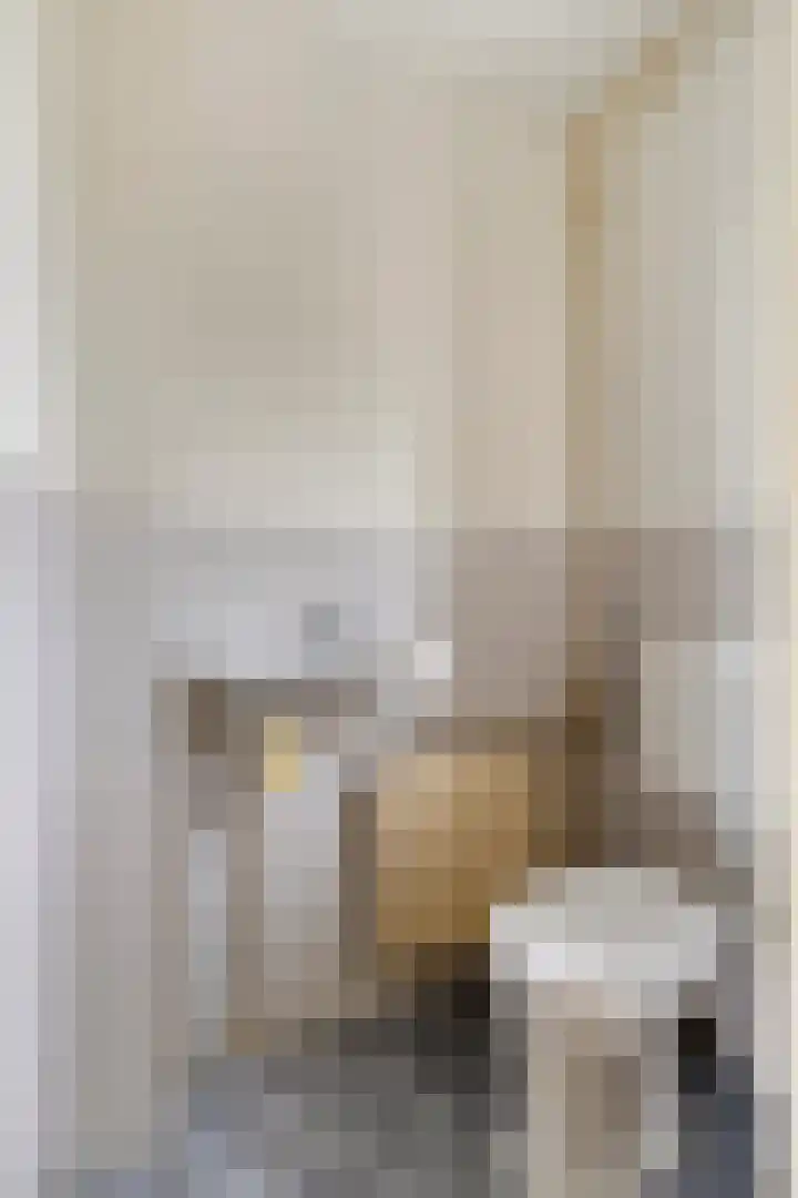 Limburglaan 5 Son en Breugel thumbnail 6