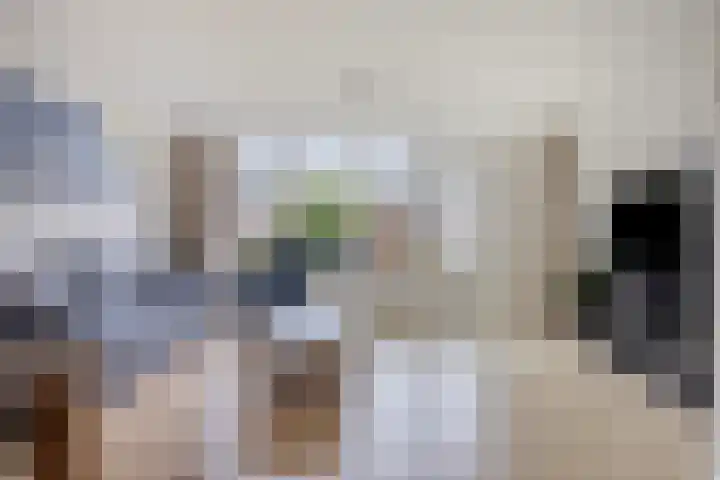 Limburglaan 5 Son en Breugel thumbnail 9
