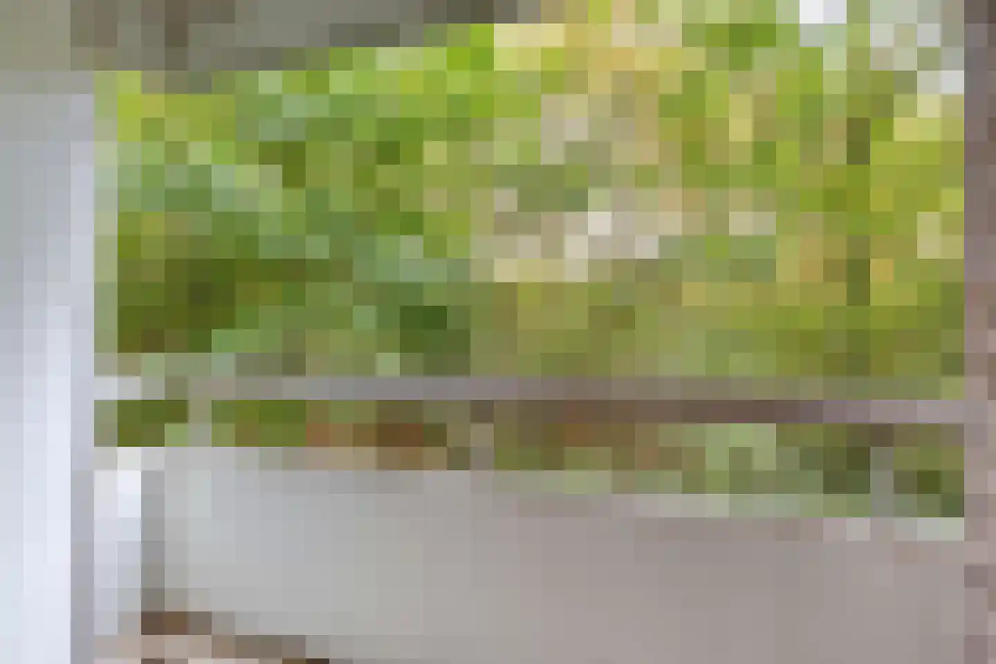Limburglaan 55 Eindhoven thumbnail 16