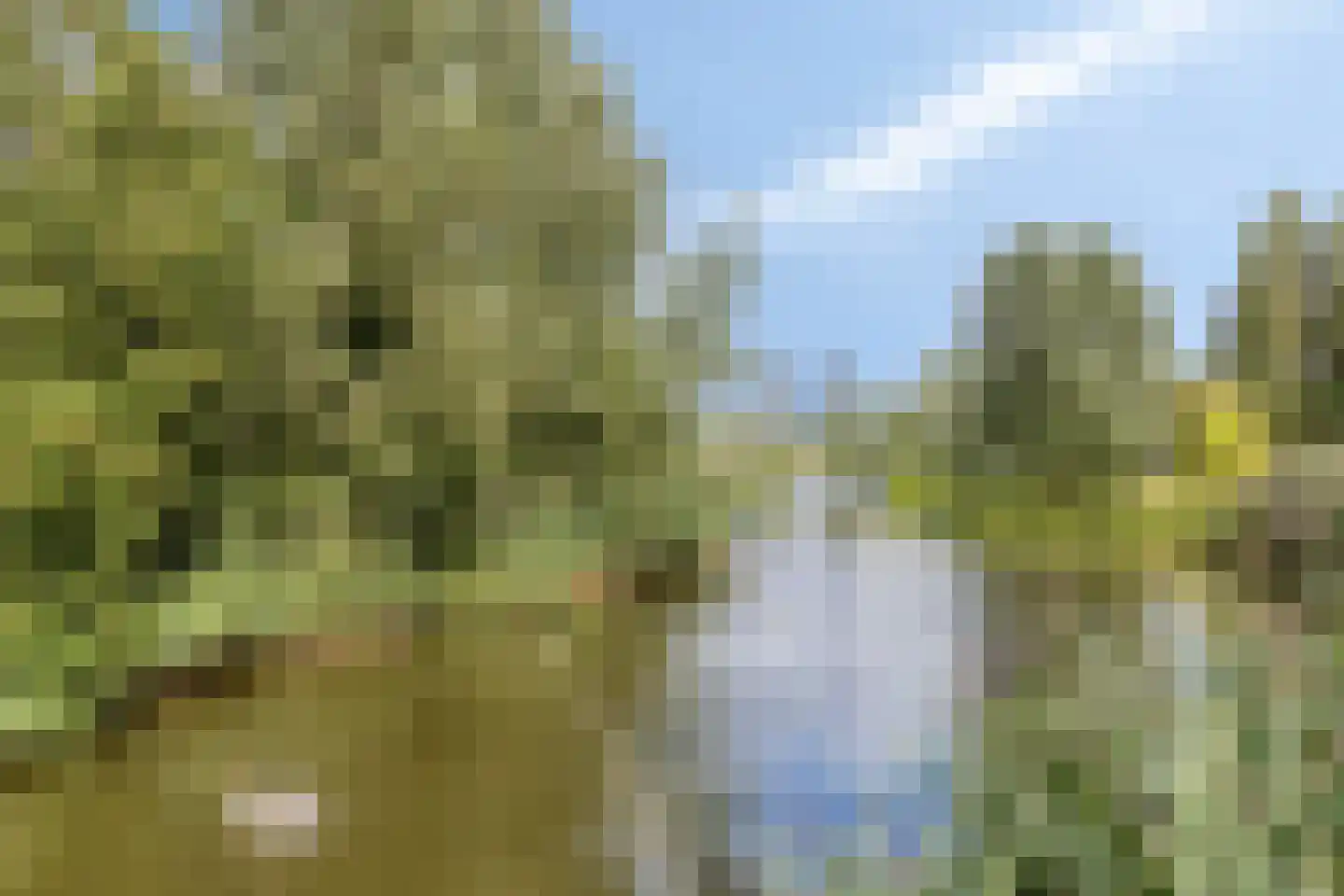 Limburglaan 55 Eindhoven thumbnail 20