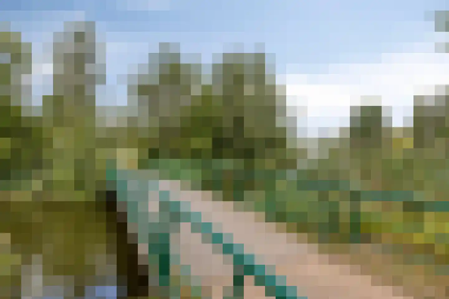 Limburglaan 55 Eindhoven thumbnail 21