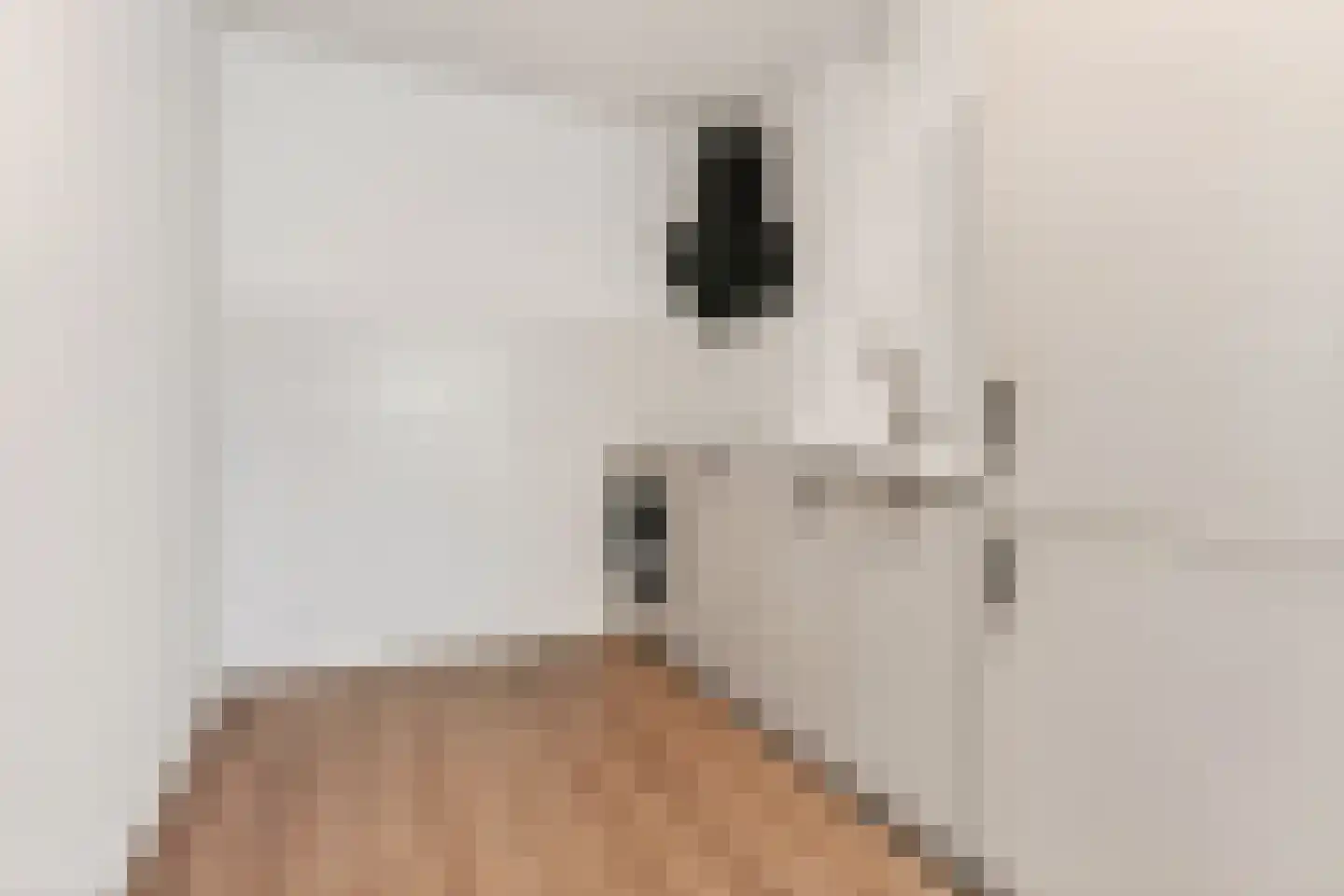 Limburglaan 57 Eindhoven thumbnail 20