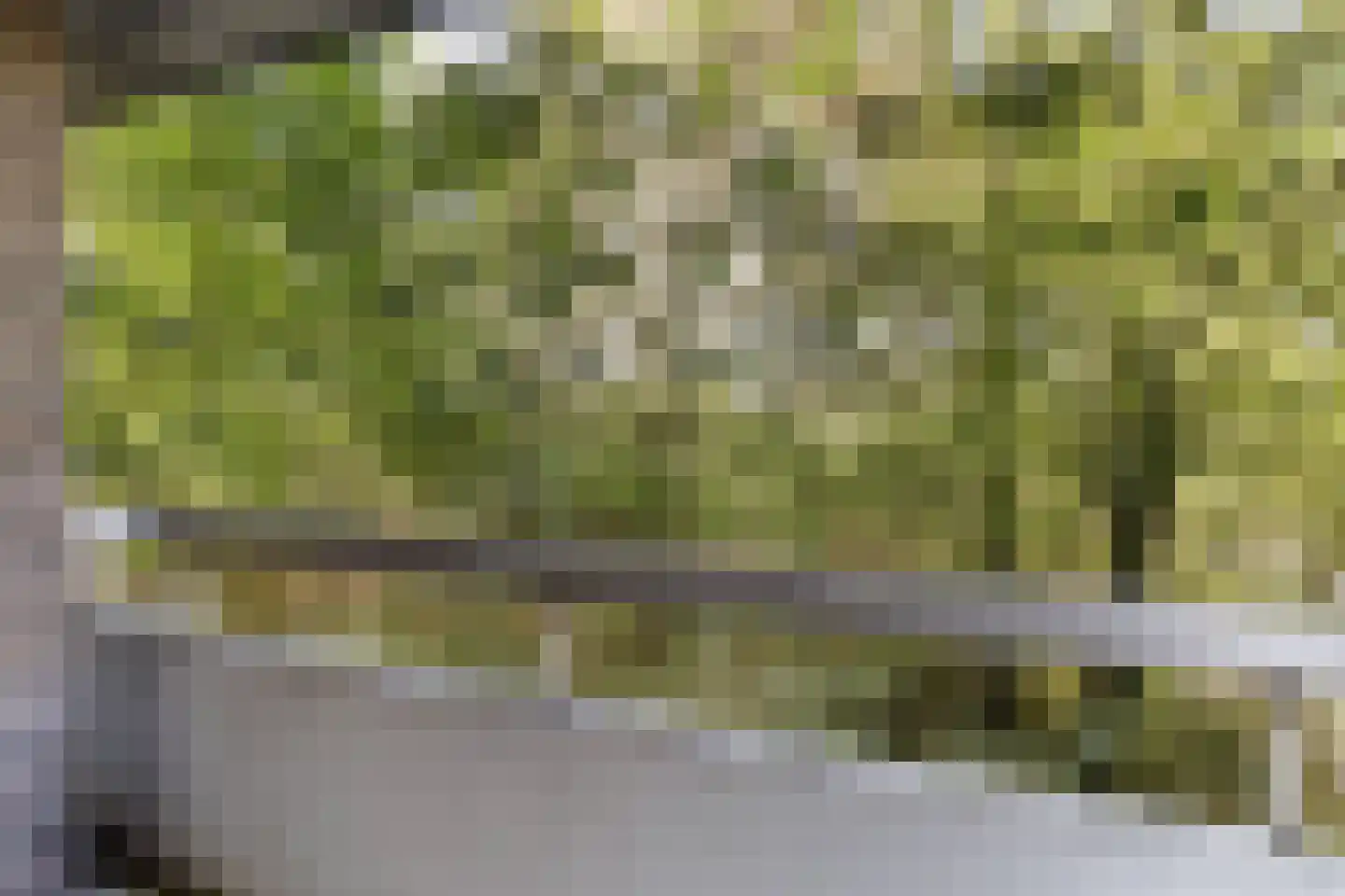Limburglaan 57 Eindhoven thumbnail 32