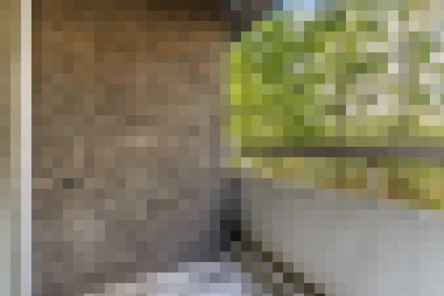 Limburglaan 57 Eindhoven thumbnail 34