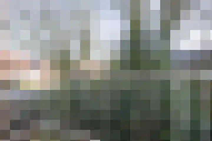 Limburglaan 62 Weert thumbnail 28