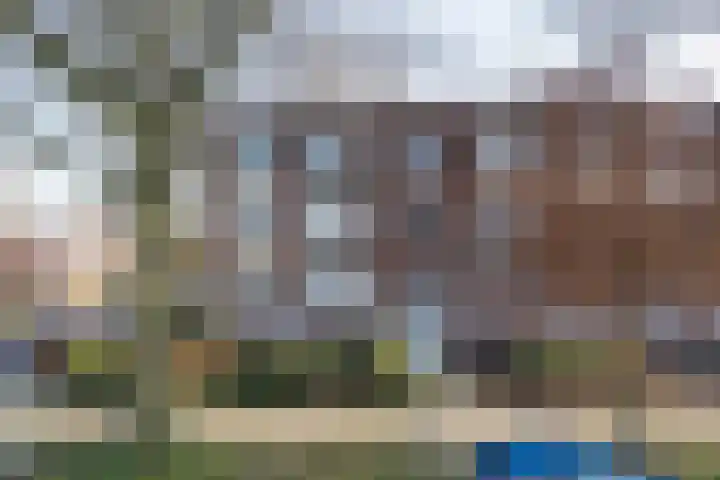 Limburglaan 62 Weert thumbnail 38