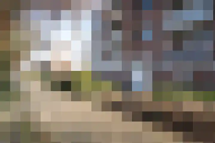 Limburglaan 62 Weert thumbnail 39