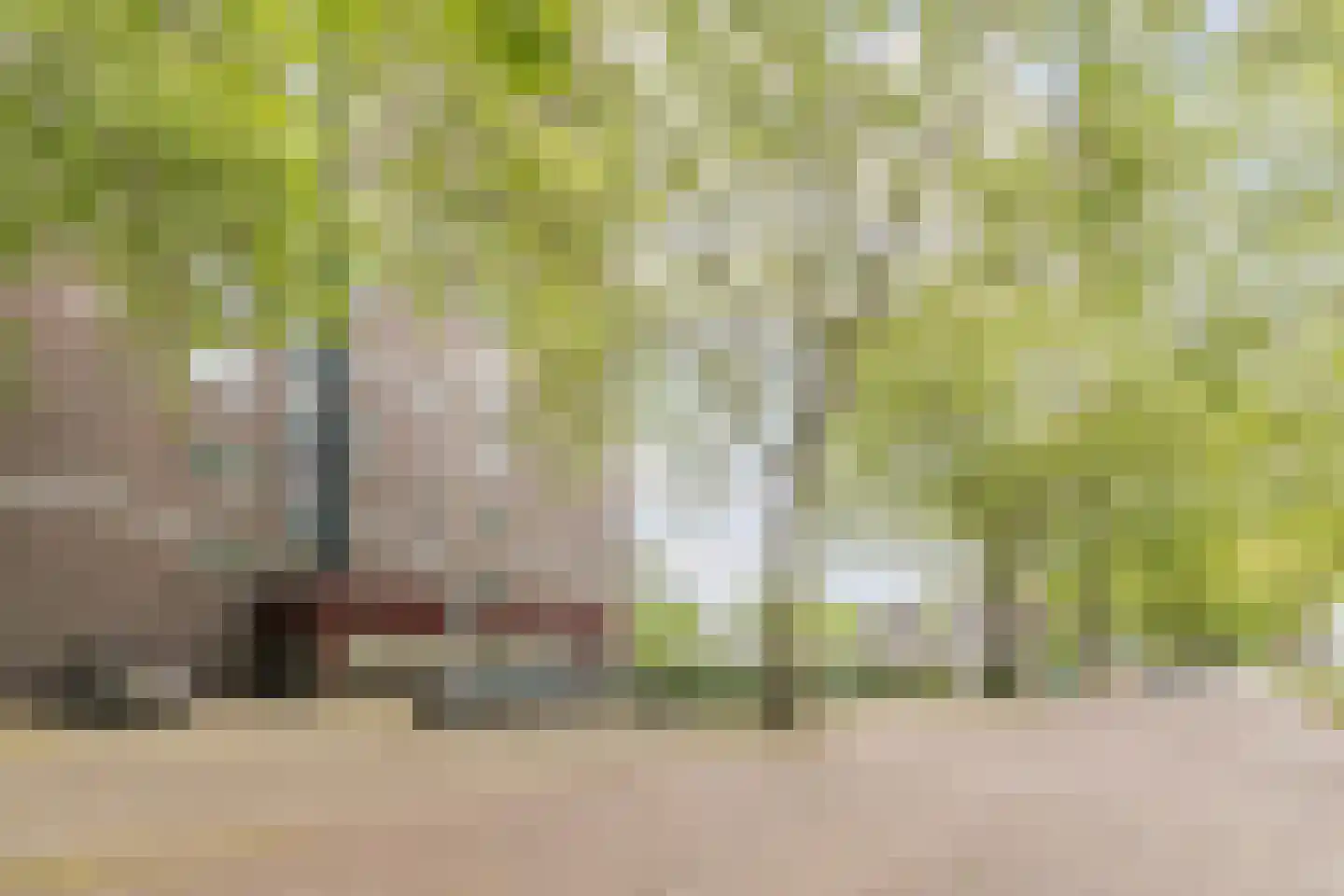 Limburglaan 65 Eindhoven thumbnail 21