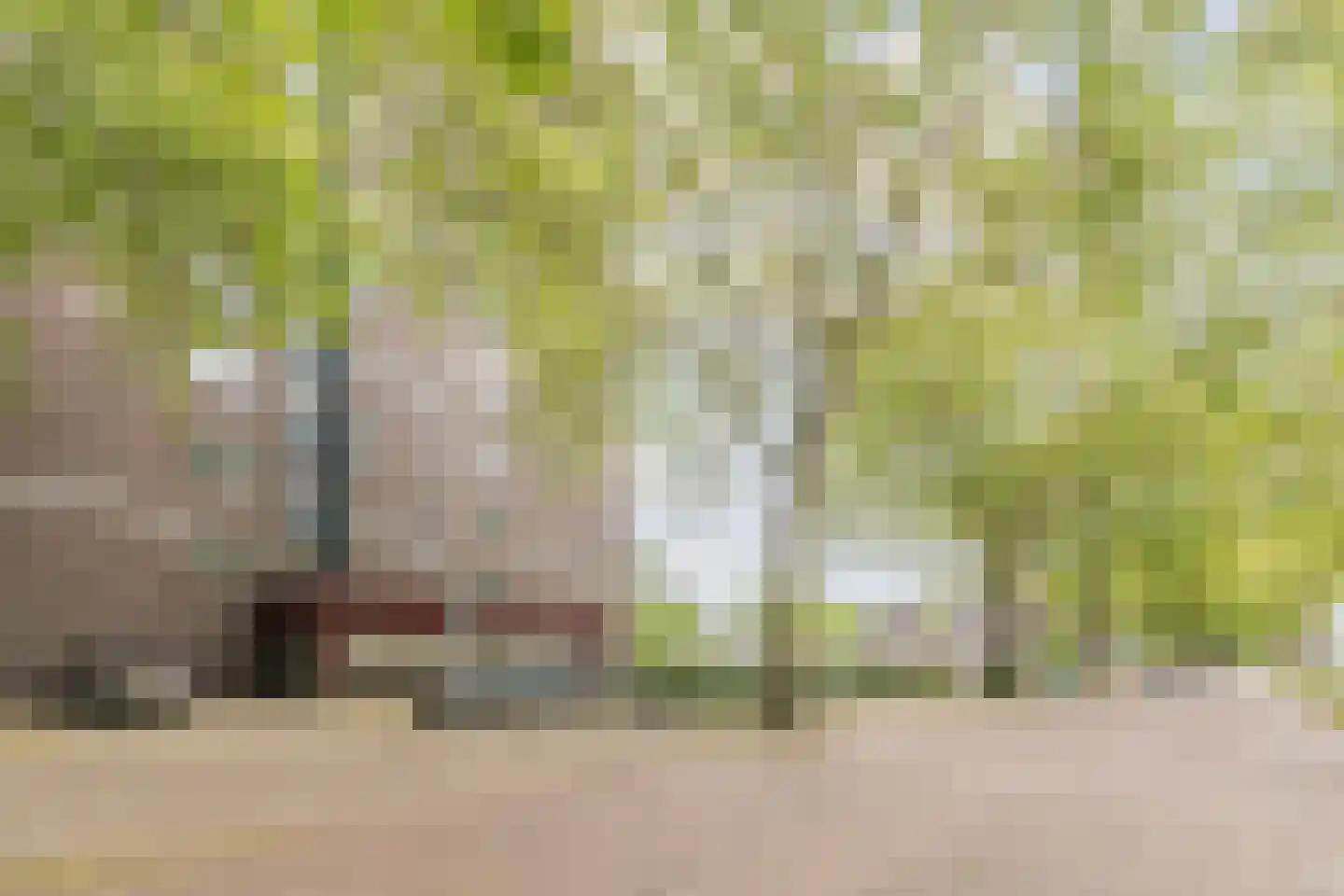 Limburglaan 65 Eindhoven thumbnail 22