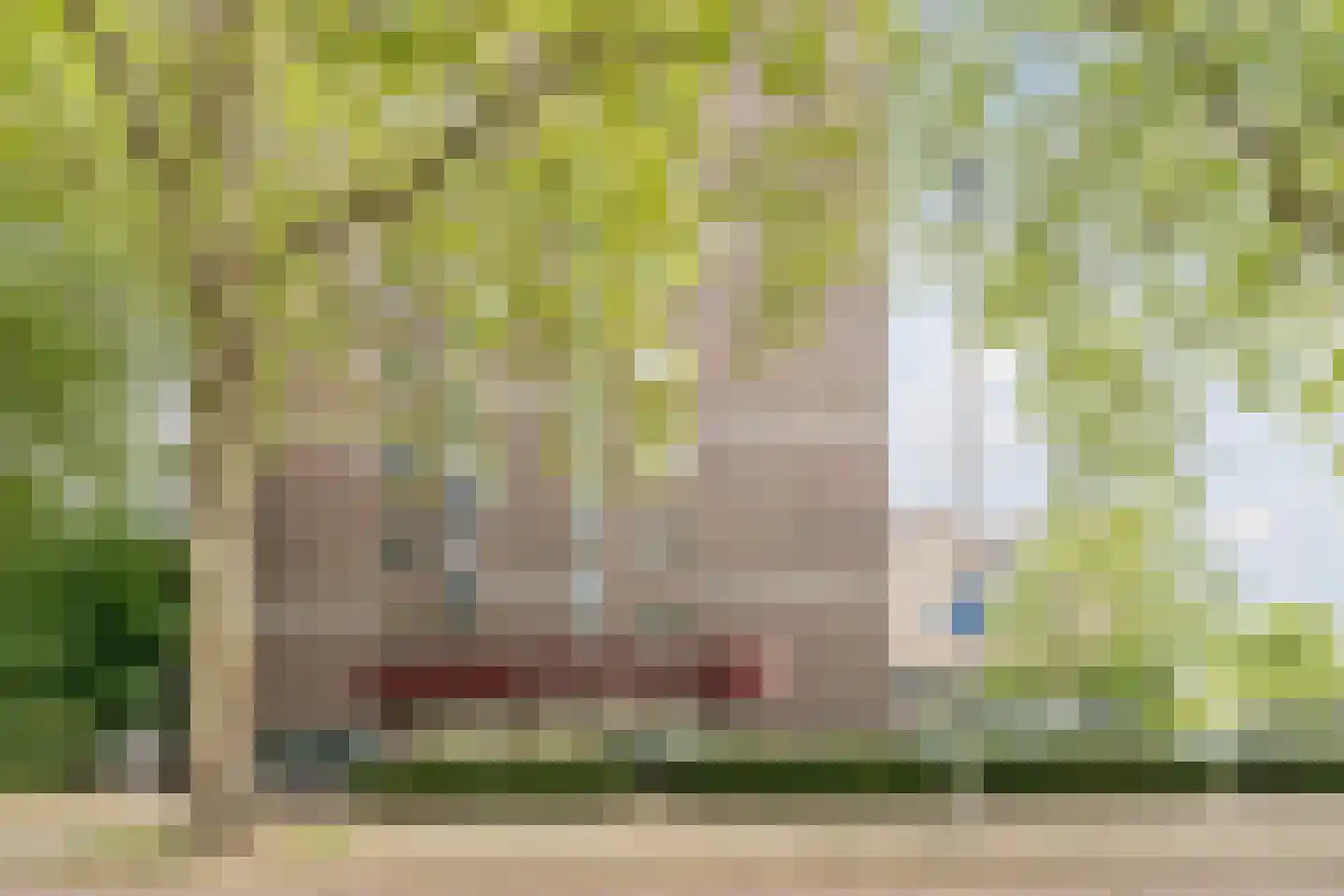 Limburglaan 65 Eindhoven thumbnail 23