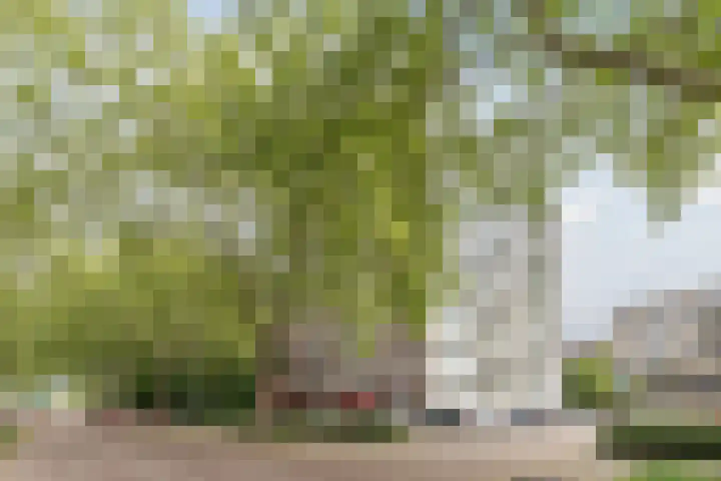 Limburglaan 65 Eindhoven thumbnail 24