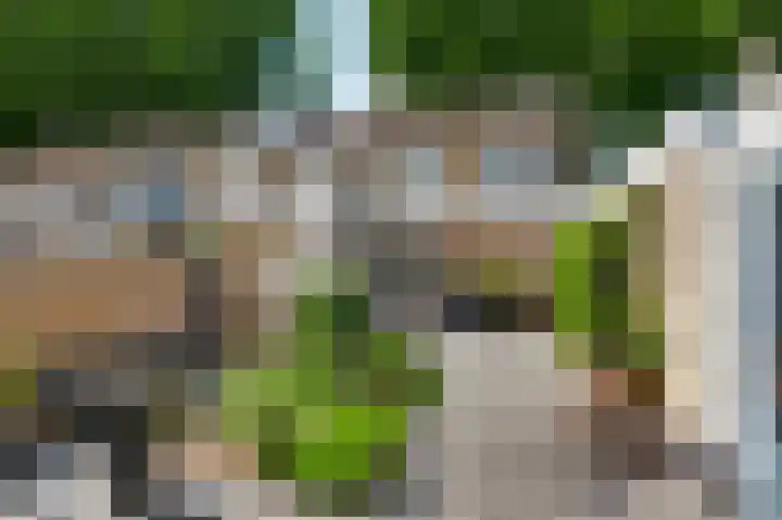 Limburglaan 84 Weert thumbnail 31