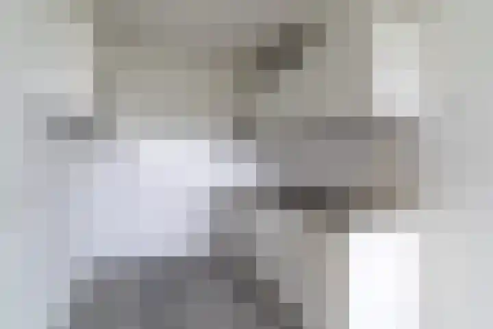 Limburglaan 97 Eindhoven thumbnail 14