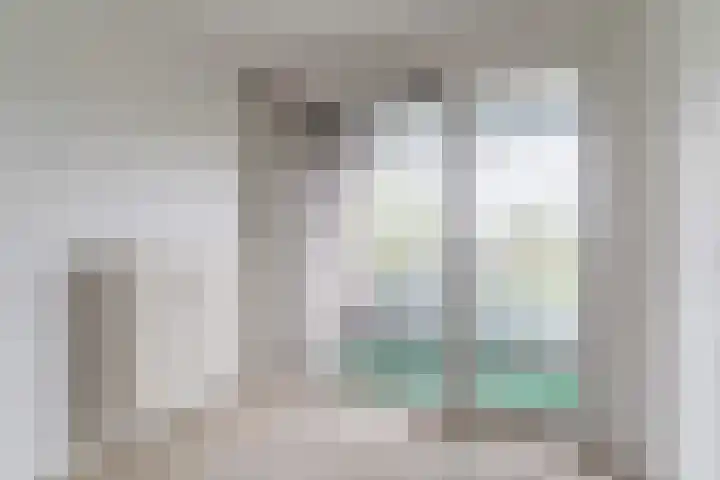 Limburglaan 97 Eindhoven thumbnail 24