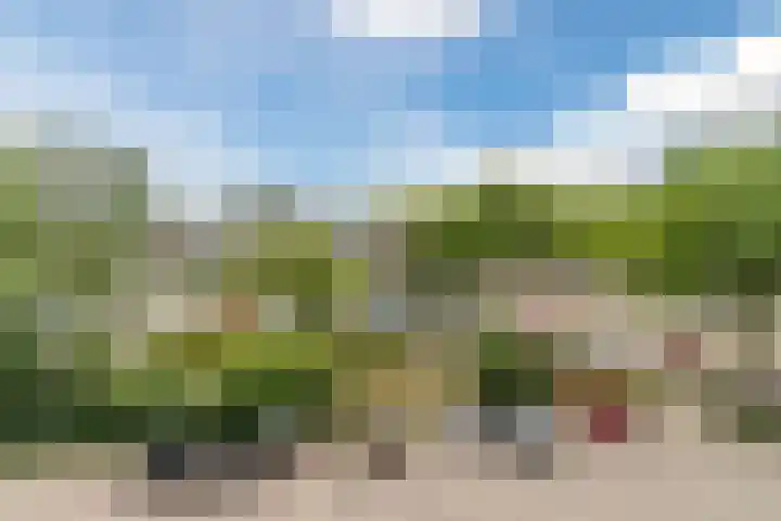 Limburglaan 97 Eindhoven thumbnail 28