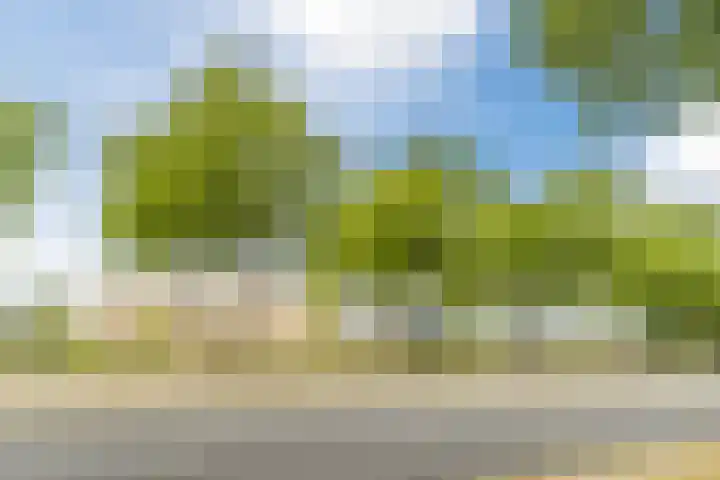 Limburglaan 97 Eindhoven thumbnail 31