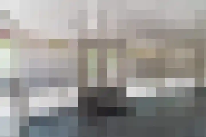 Limburglaan 97 Eindhoven thumbnail 5