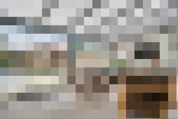 Limburglaan 98 Weert thumbnail 17