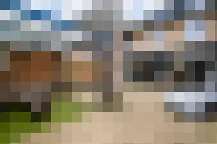 Limburglaan 98 Weert thumbnail 30