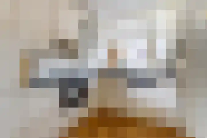 Limburgpad 12 Dongen thumbnail 12