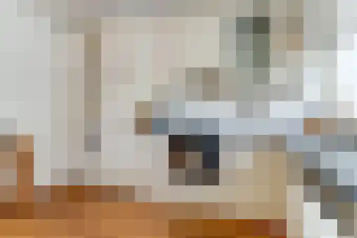 Limburgpad 12 Dongen thumbnail 13